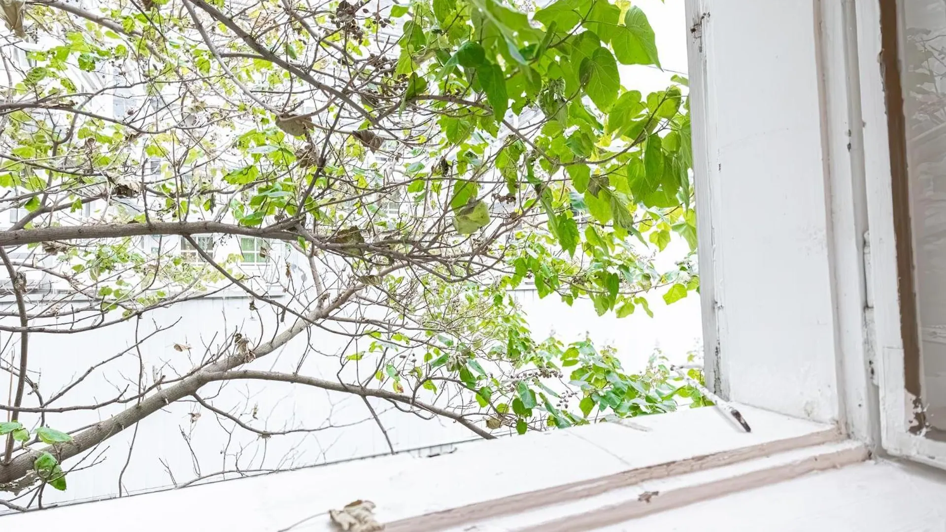 Big 3Br Apt In Viennas Center - Perfect For Longstays Apartment